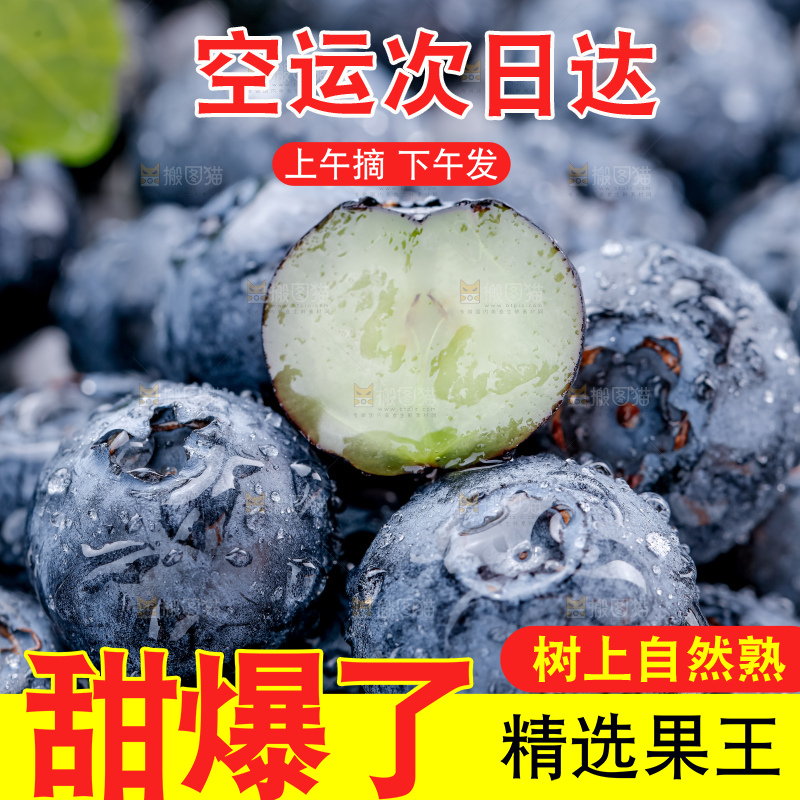 蓝莓