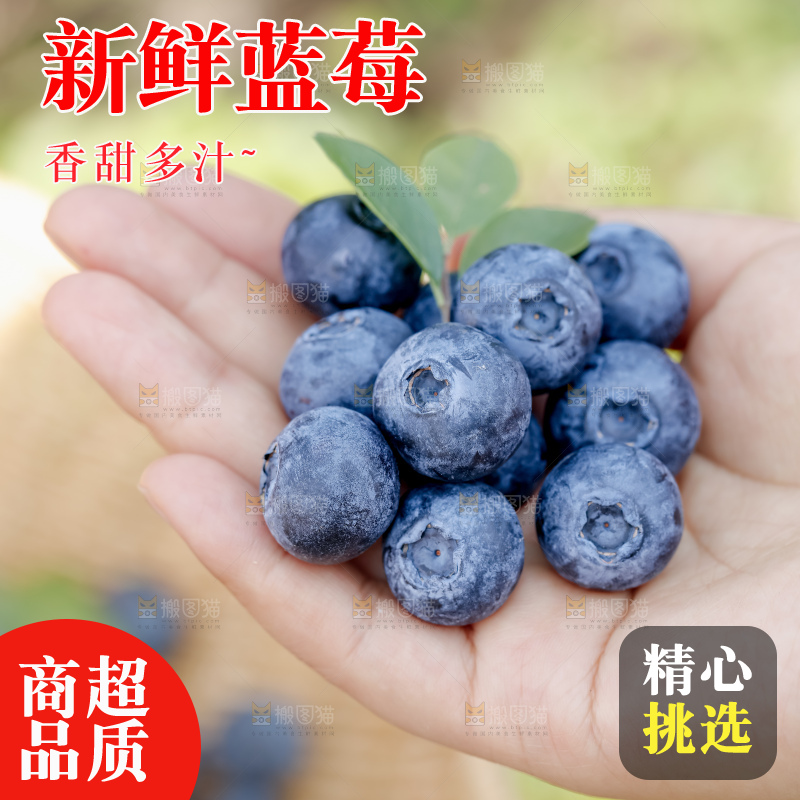 蓝莓
