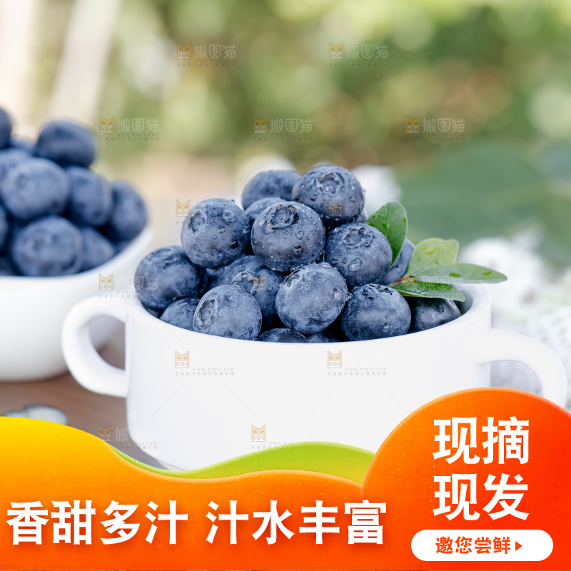蓝莓