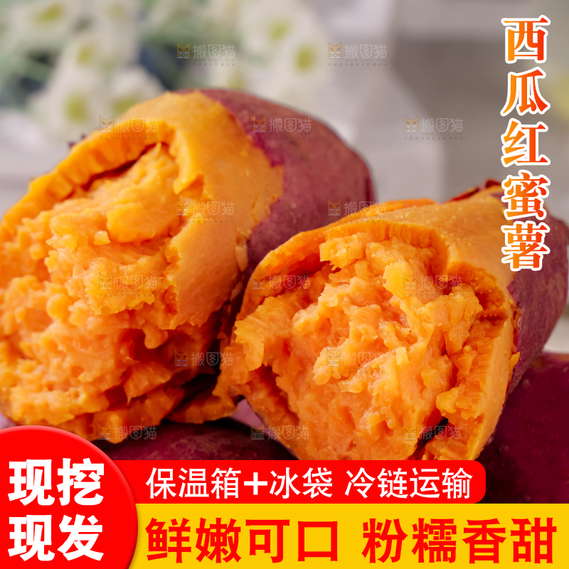 西瓜红蜜薯