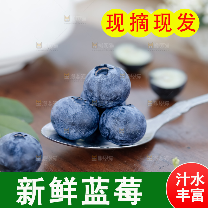 蓝莓