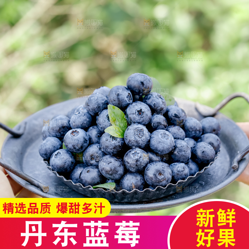 蓝莓