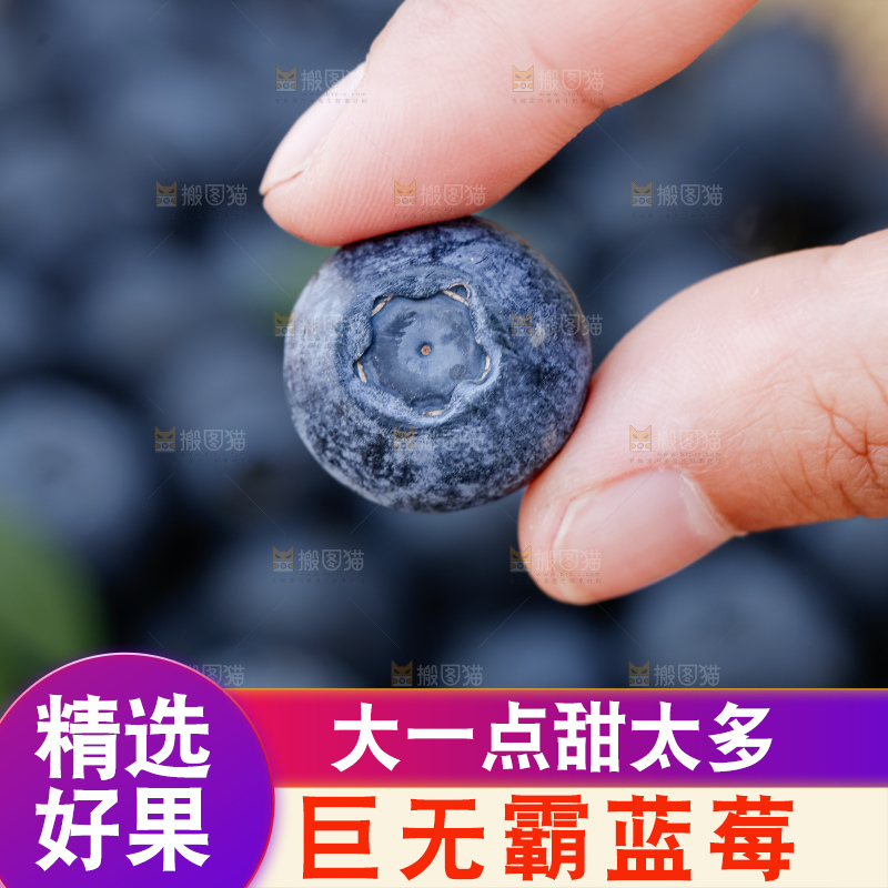 蓝莓