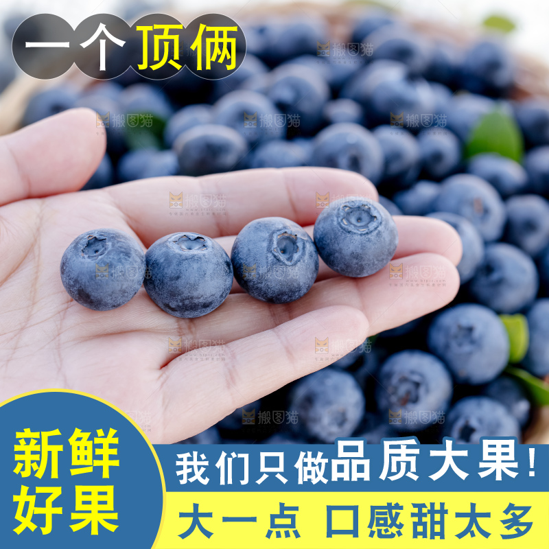 蓝莓
