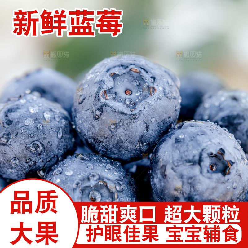 蓝莓