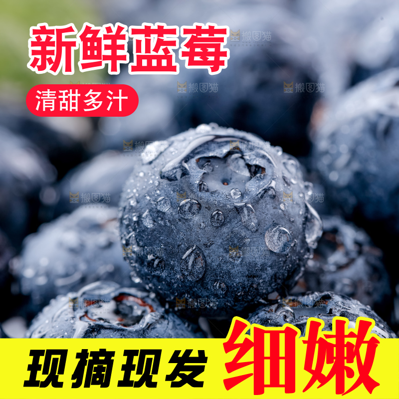 蓝莓