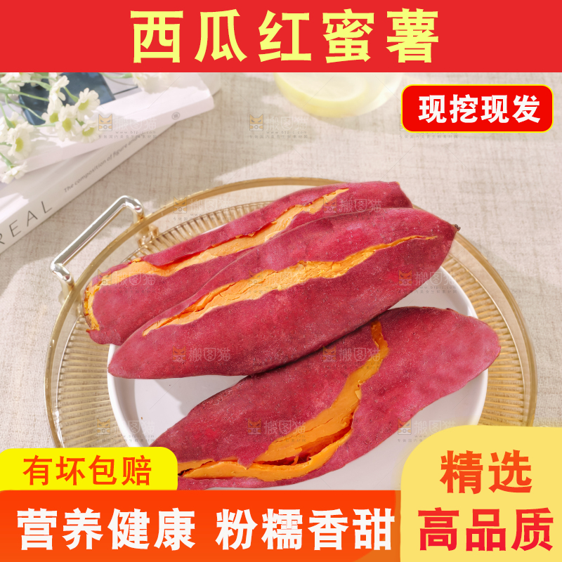 西瓜红蜜薯