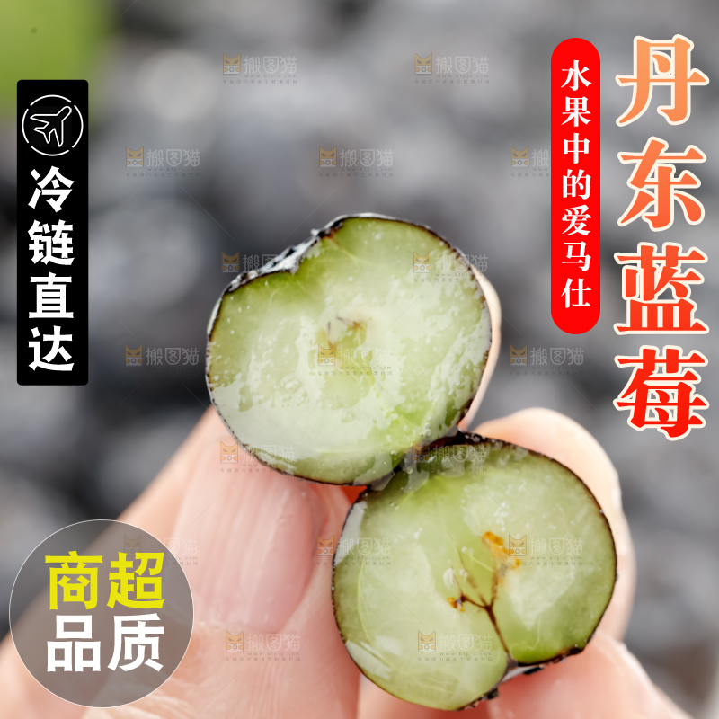 蓝莓