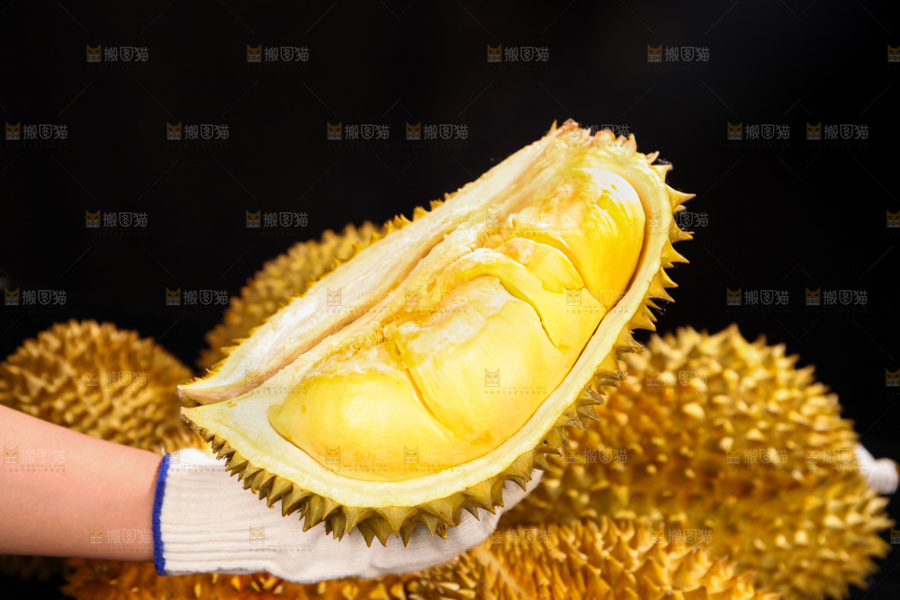 金枕榴莲
