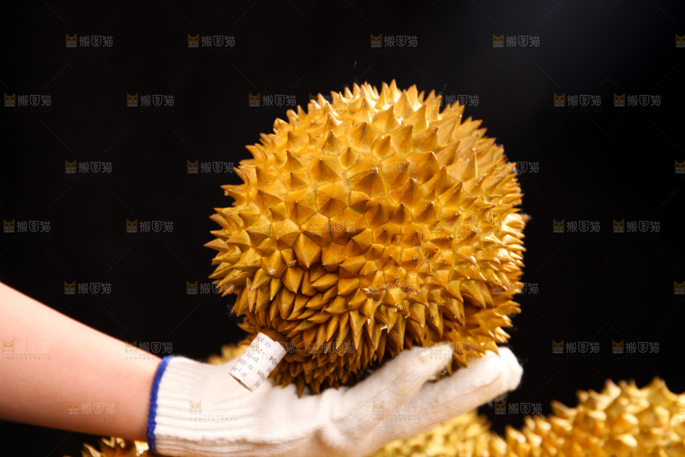 金枕榴莲