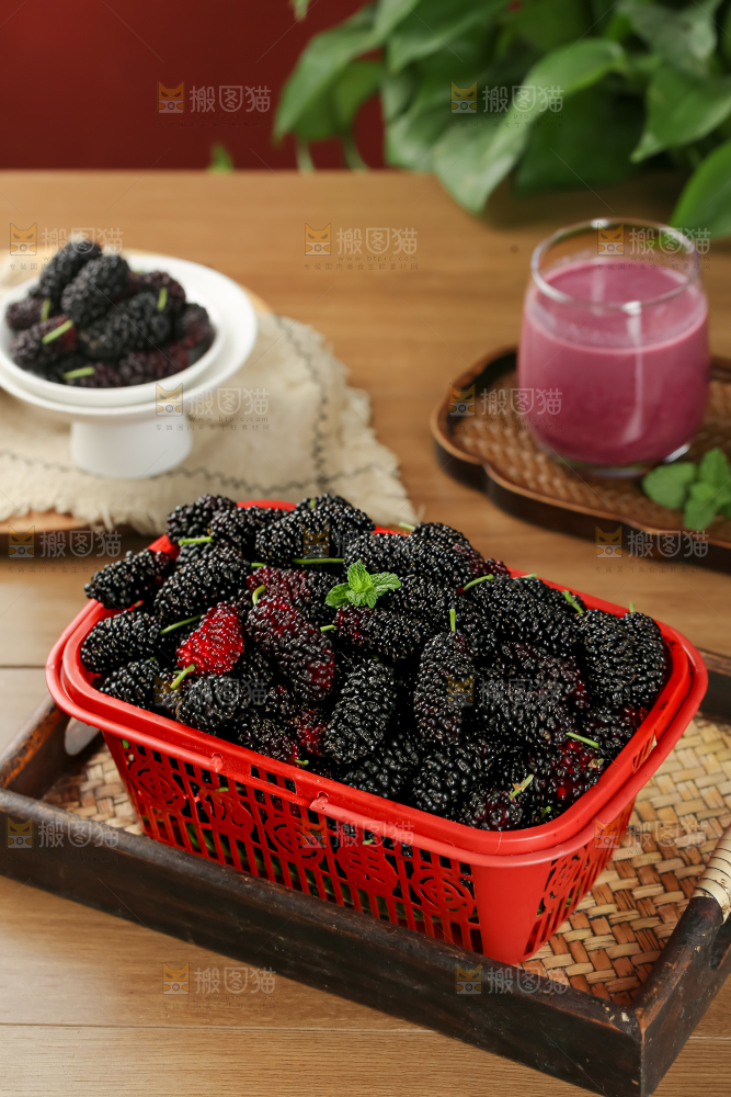 桑葚