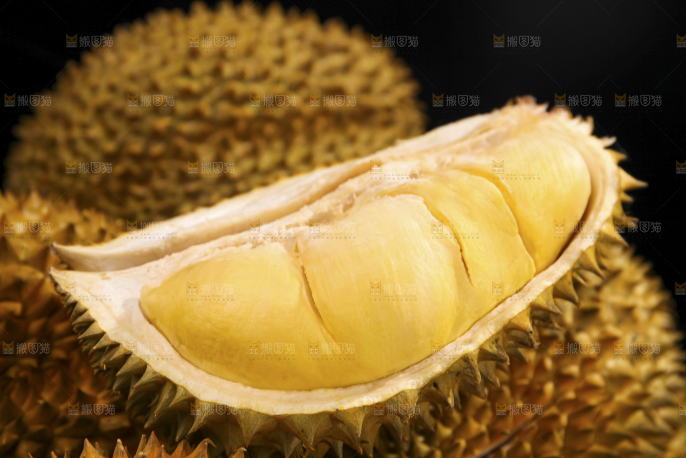 金枕榴莲