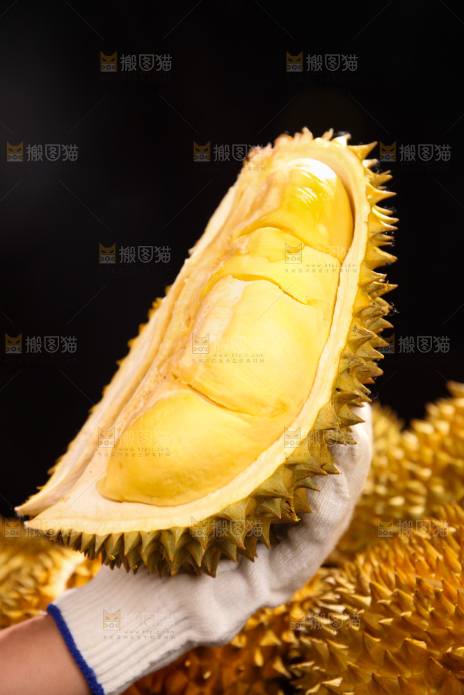 金枕榴莲