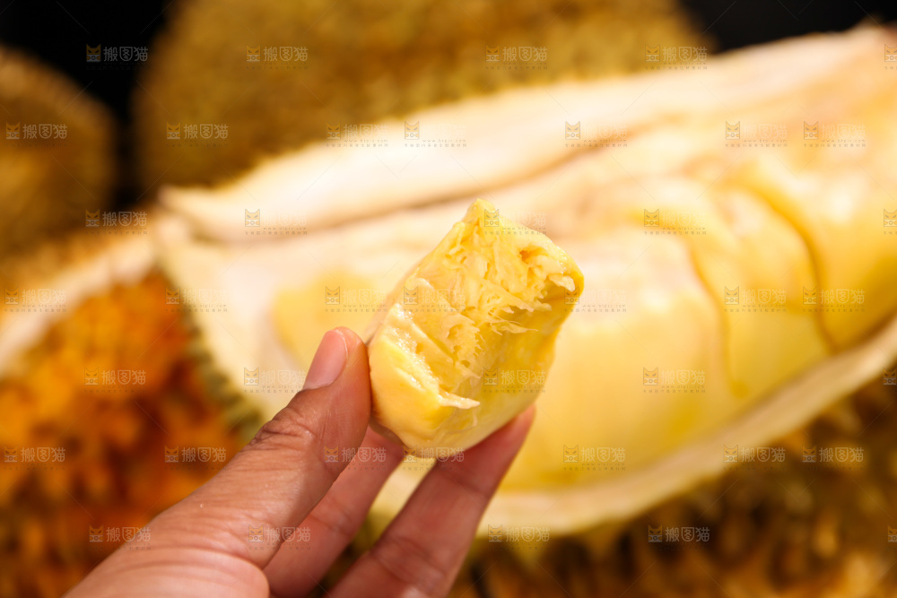 金枕榴莲