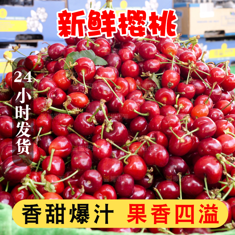 樱桃