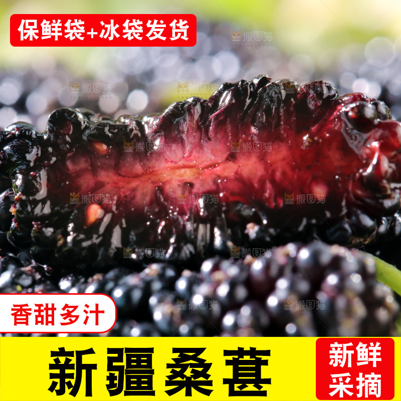 桑葚