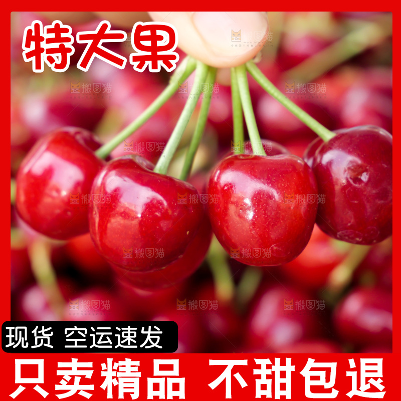 樱桃