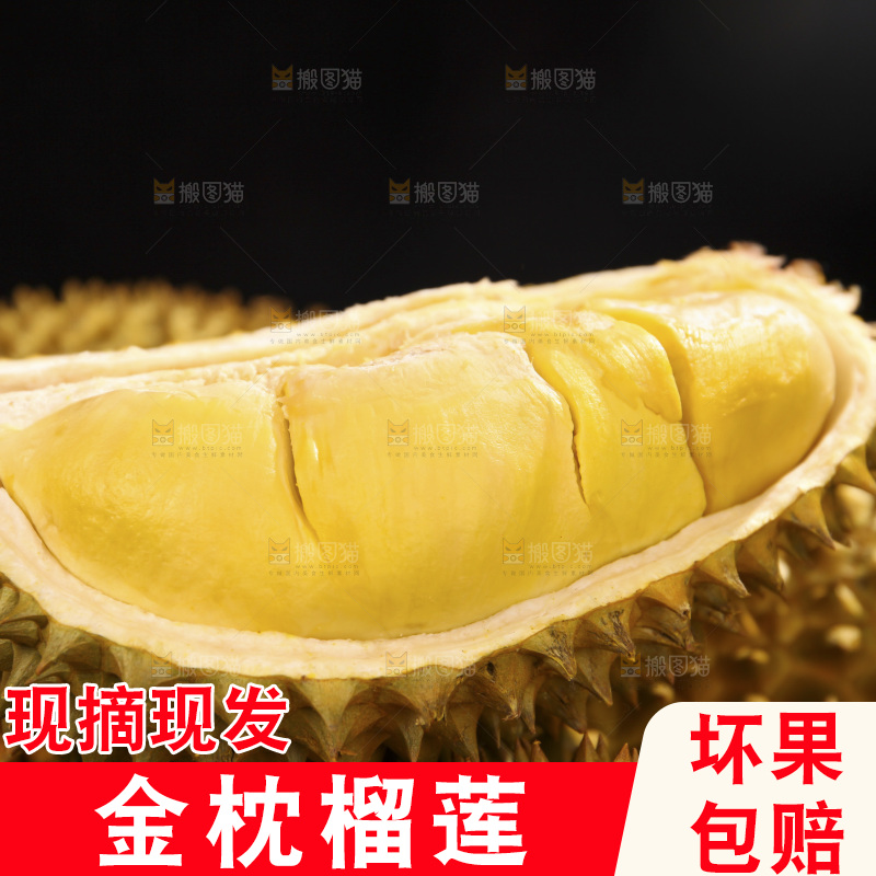 金枕榴莲