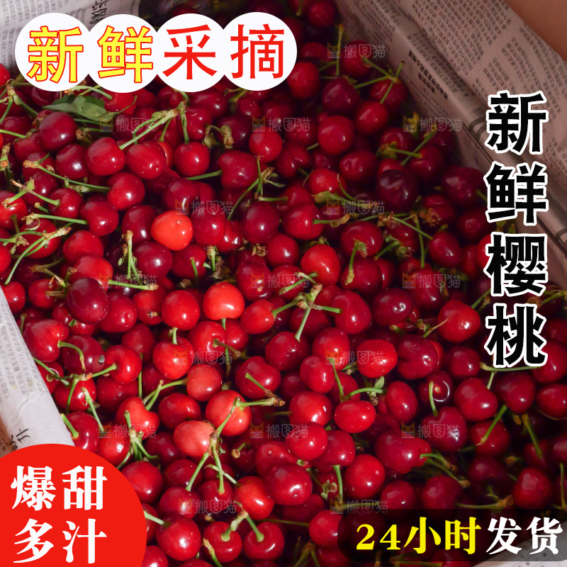 樱桃
