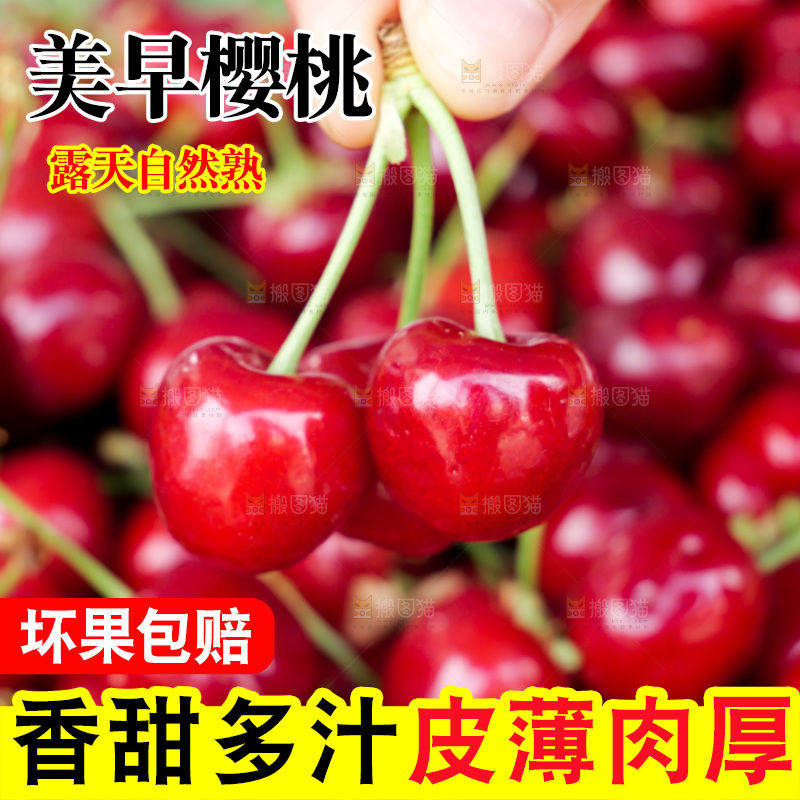 樱桃