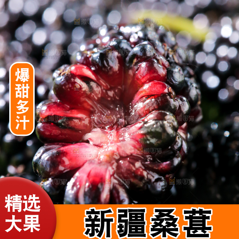 桑葚