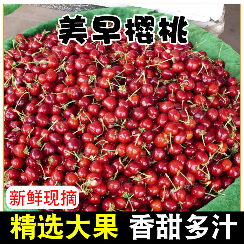 樱桃