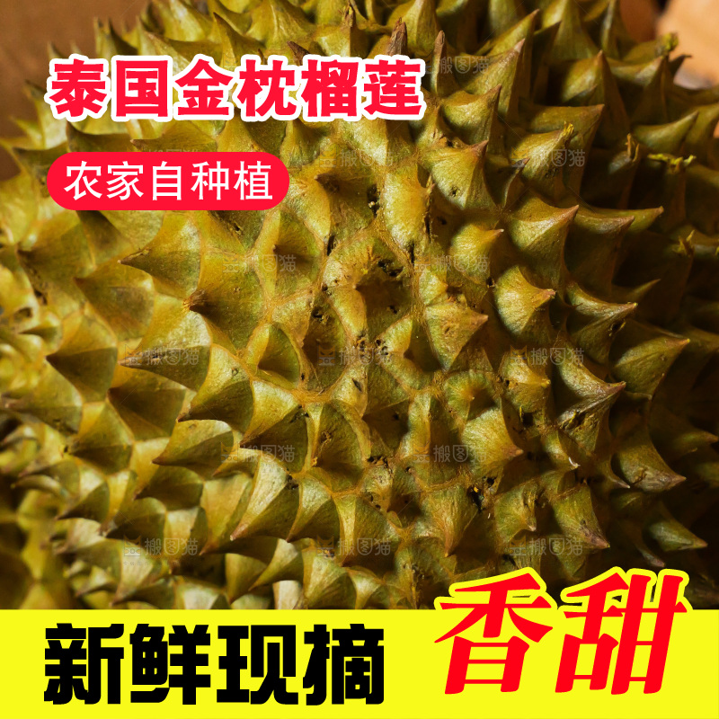 金枕榴莲