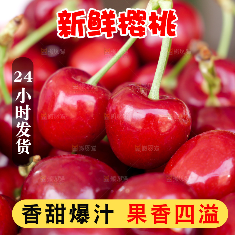 樱桃