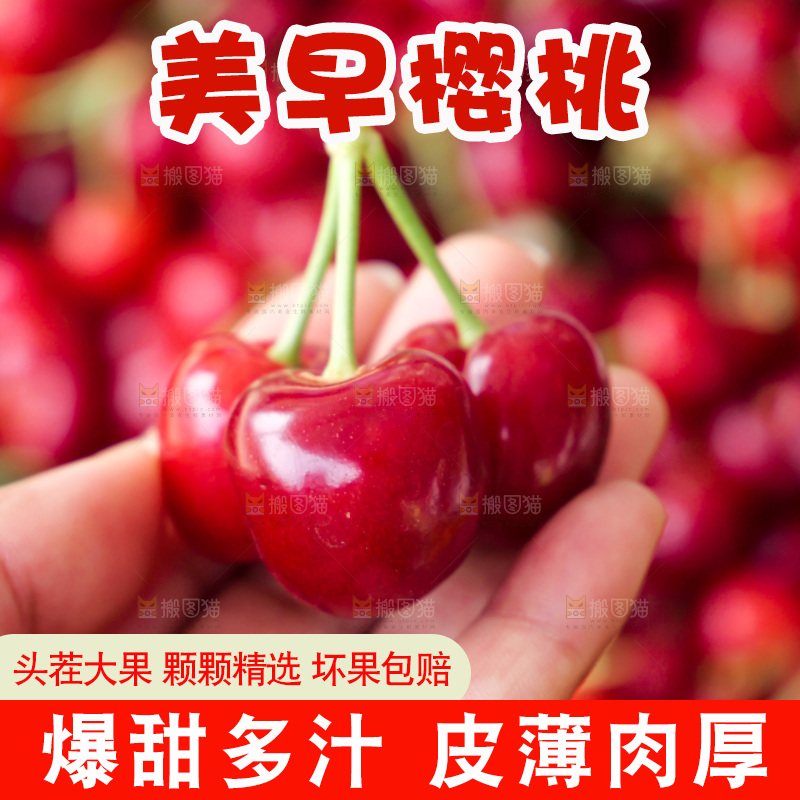 樱桃