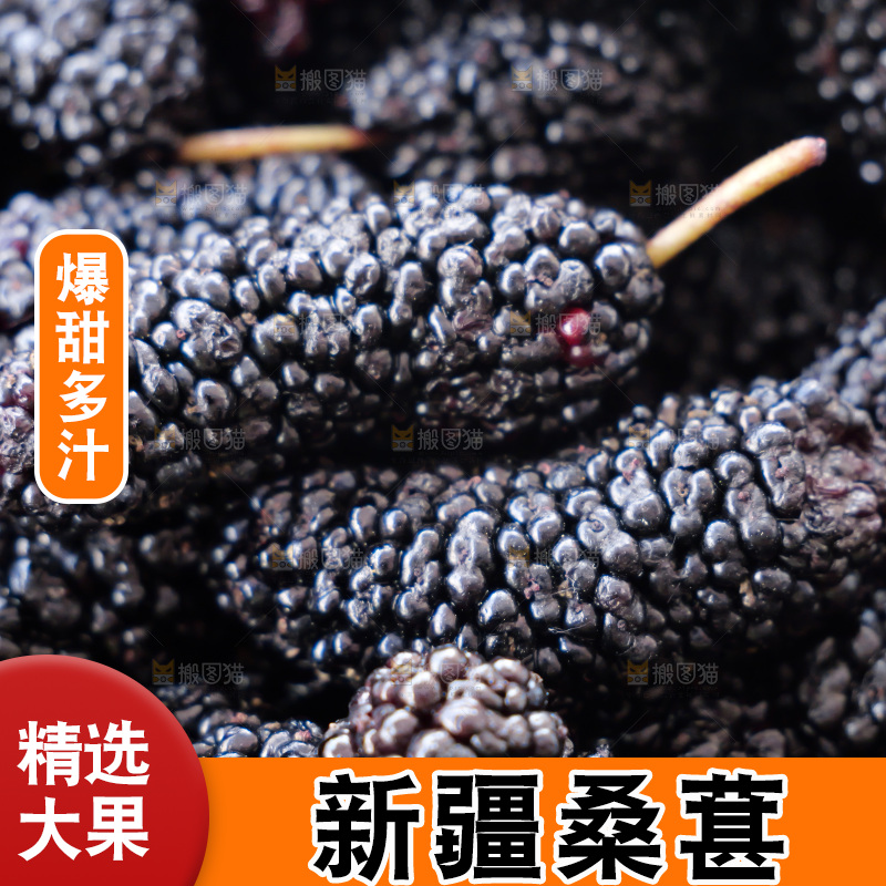 桑葚