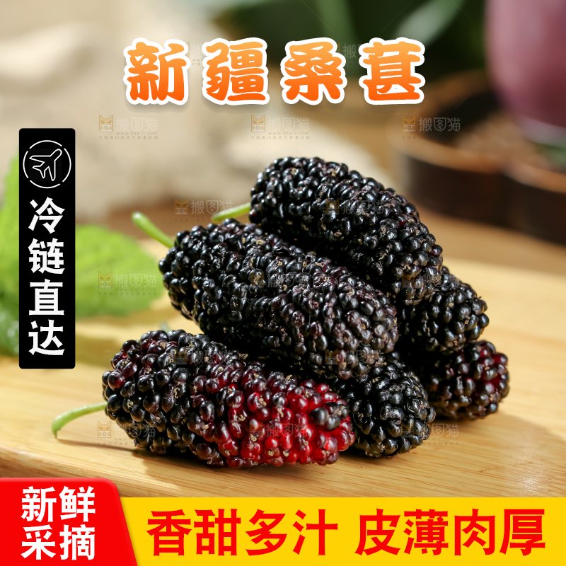 桑葚