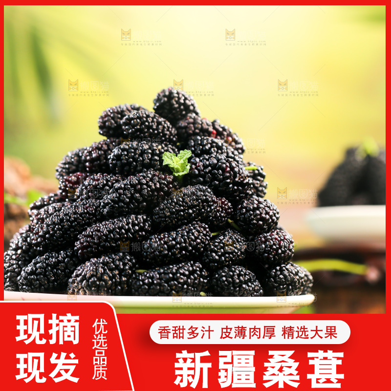 桑葚