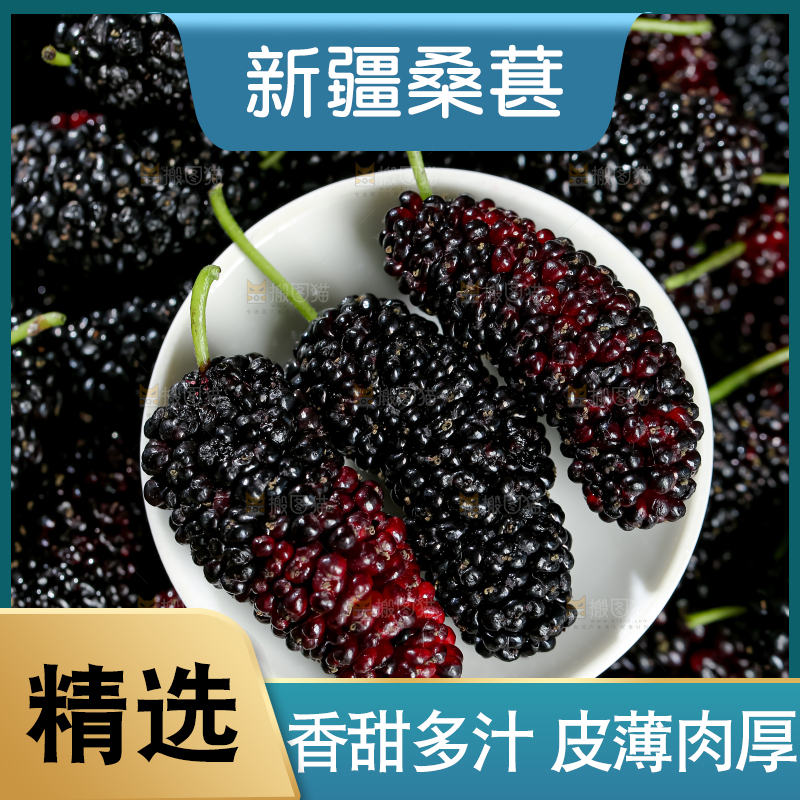 桑葚