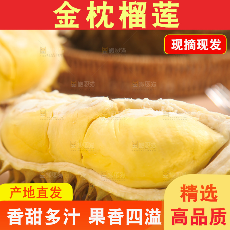 金枕榴莲