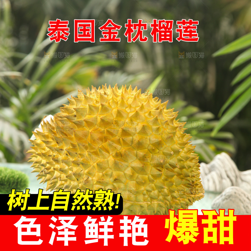 金枕榴莲