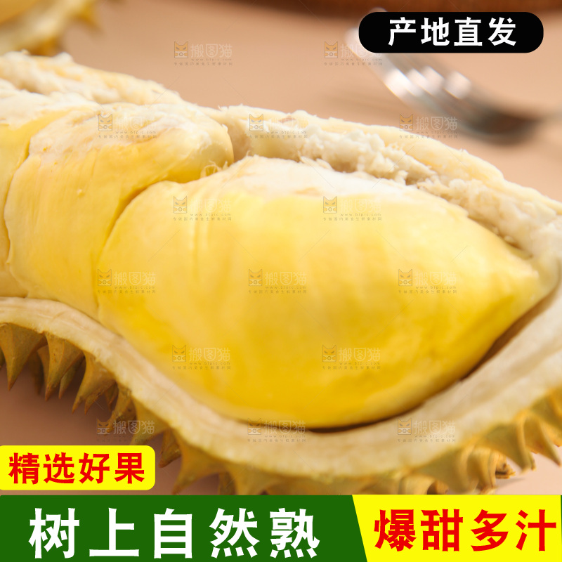 金枕榴莲