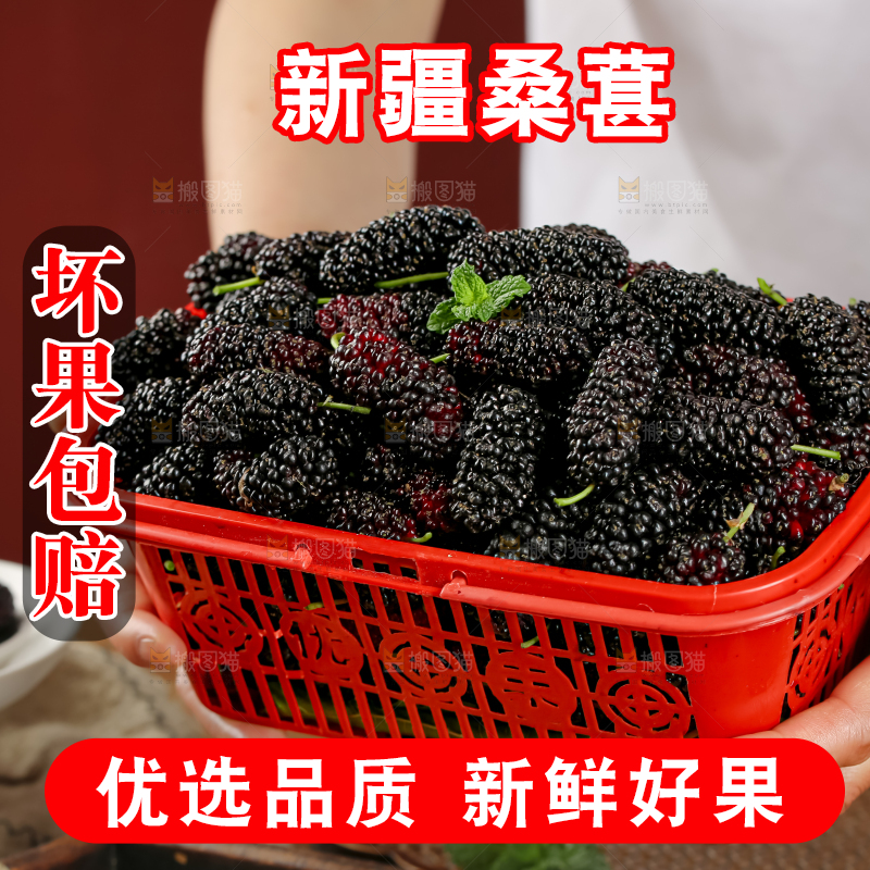 桑葚