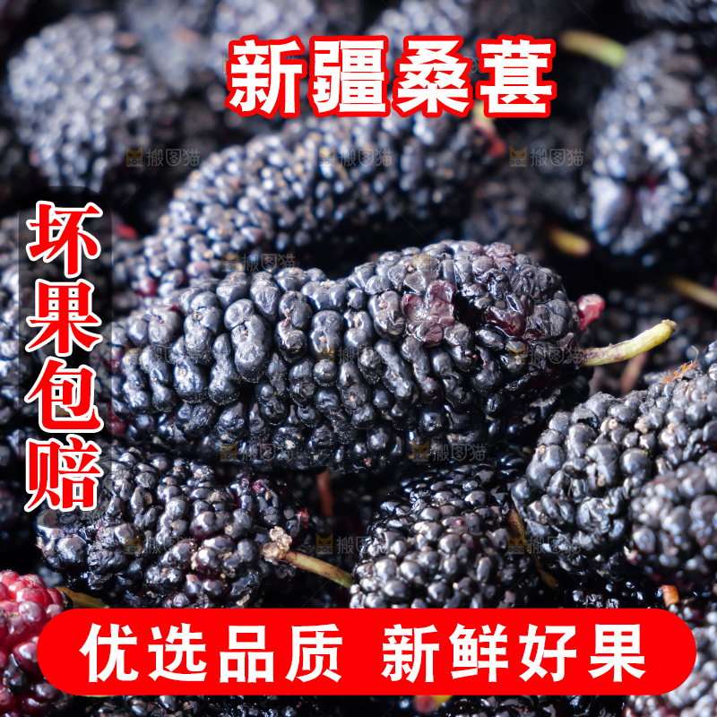 桑葚