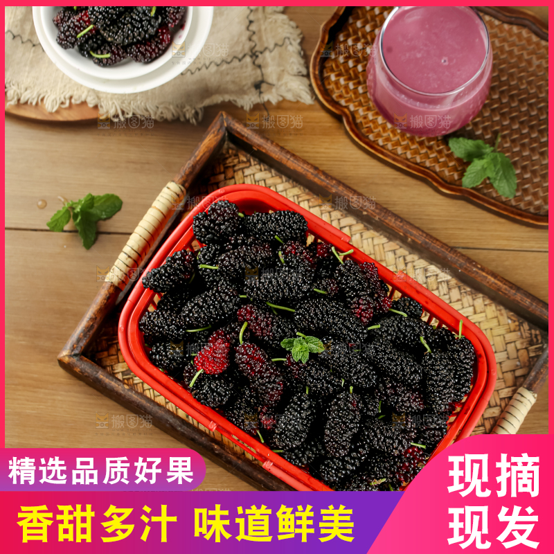 桑葚