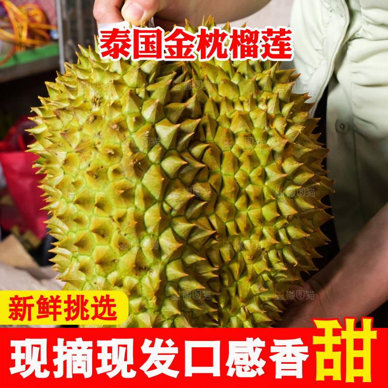 金枕榴莲