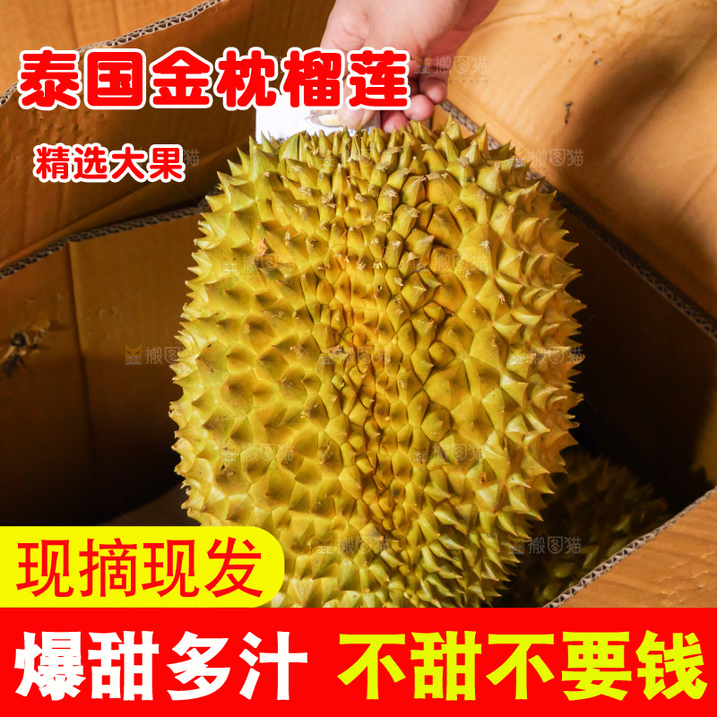 金枕榴莲