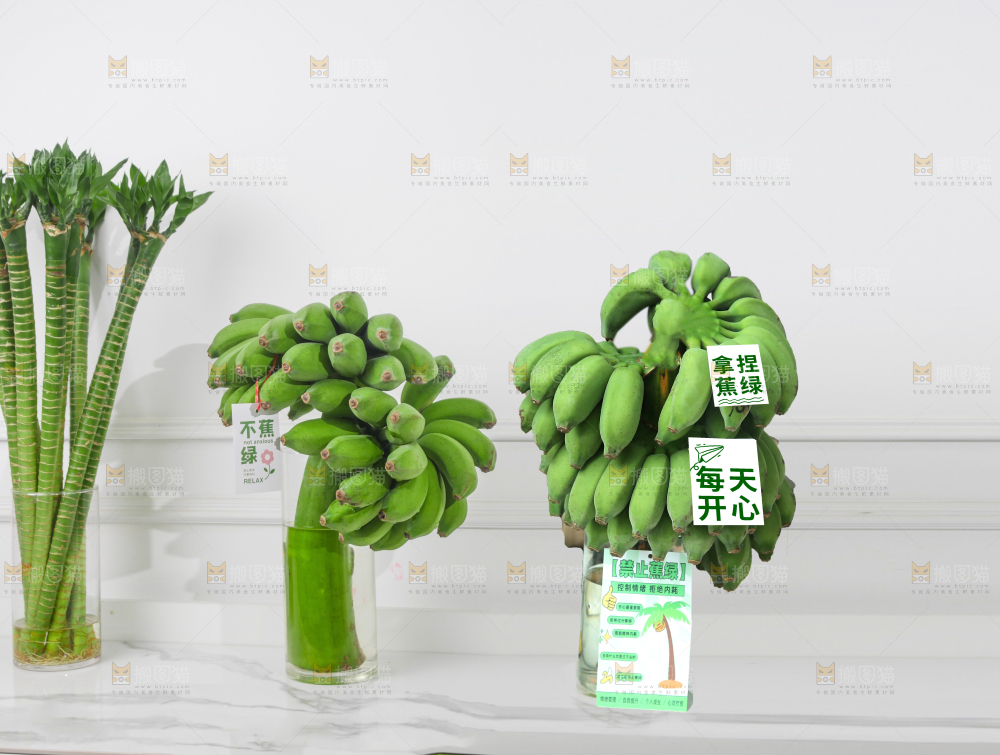 水培香蕉