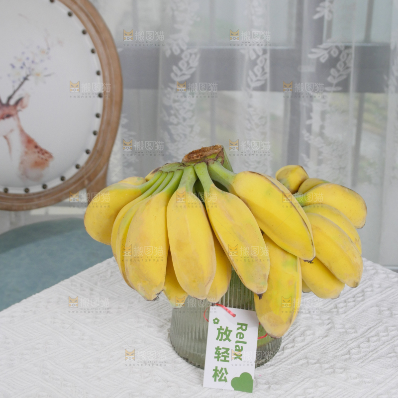 水培香蕉