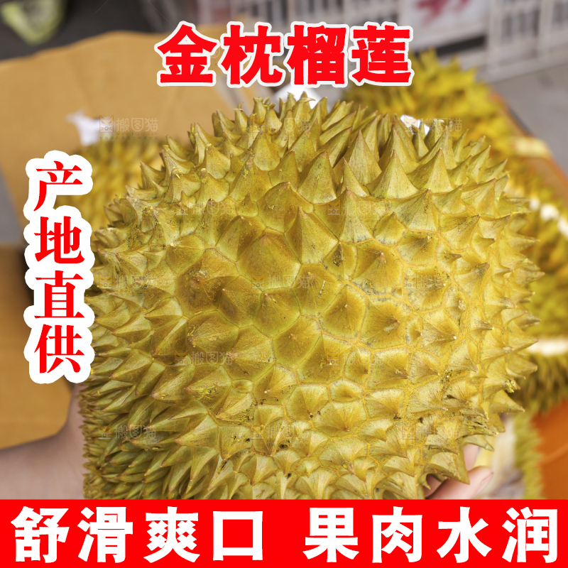 金枕榴莲