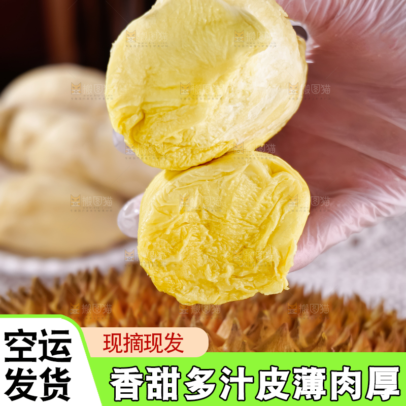 金枕榴莲