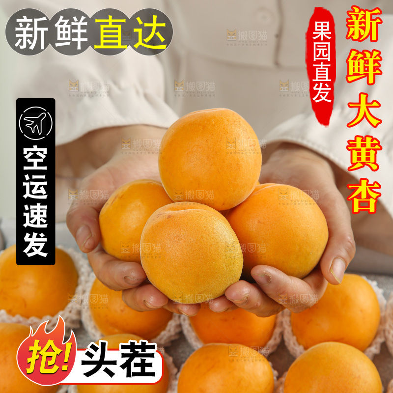 大黄杏