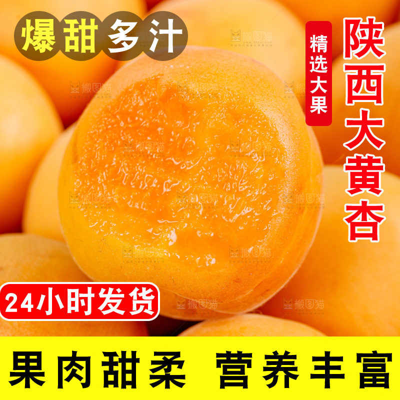 大黄杏