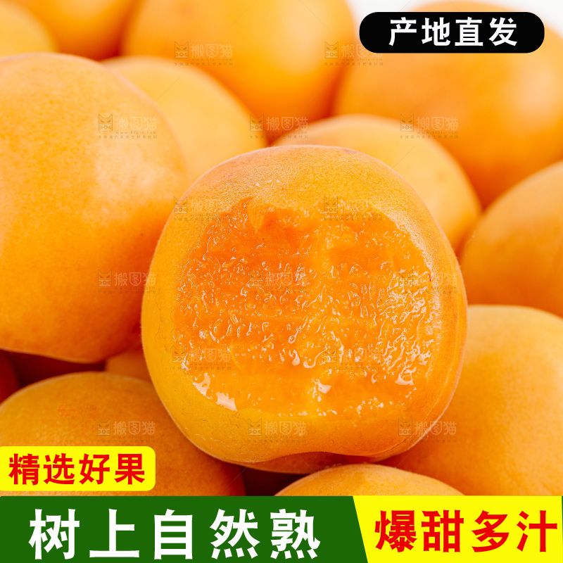 大黄杏