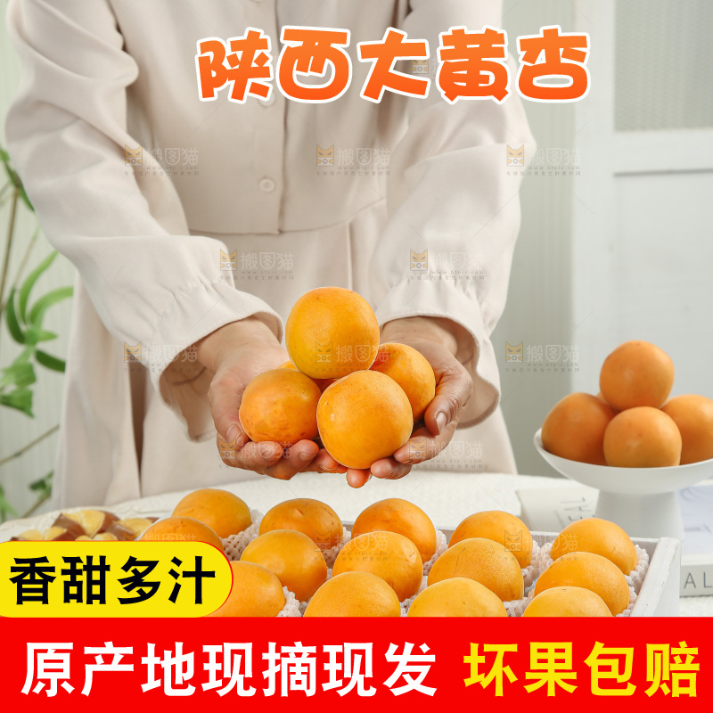 大黄杏