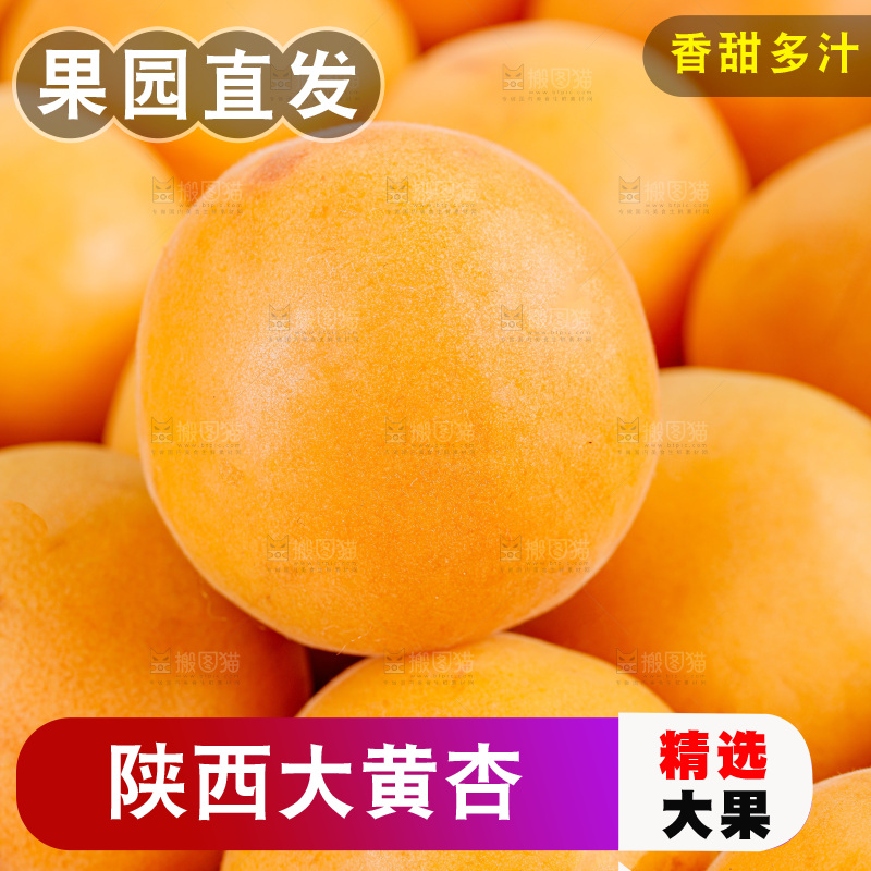 大黄杏